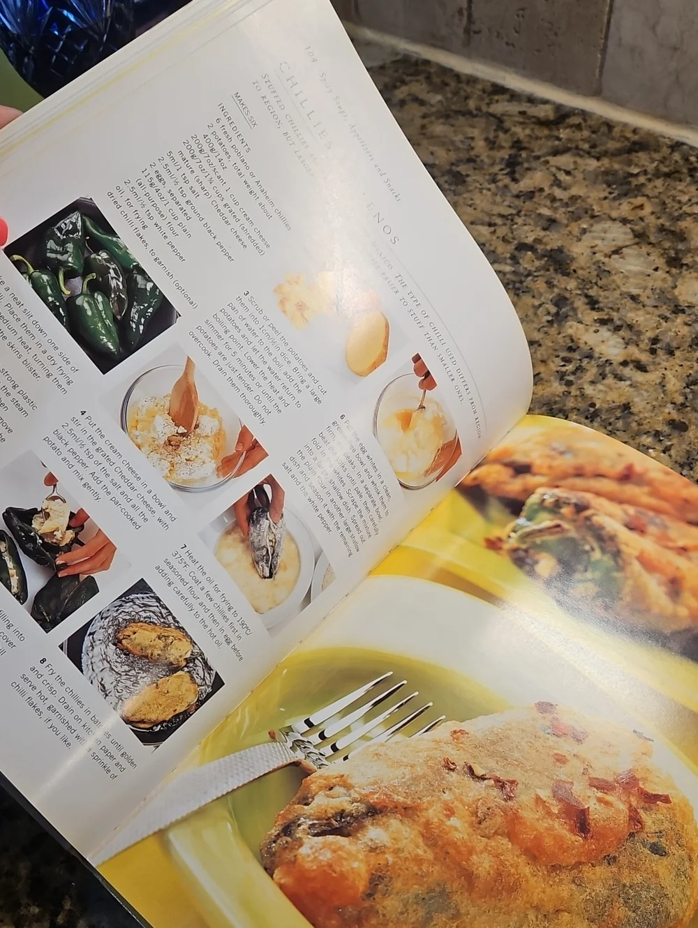 Red Hot Chili Pepper Cookbook 255 Pages 2001
